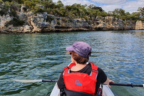 Cliffs And Caves Kayak Tour In Swan River - Kalgoorlie Accommodation 0