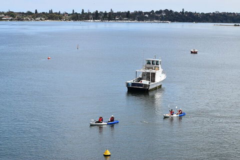 Cliffs And Caves Kayak Tour In Swan River - Kalgoorlie Accommodation 2