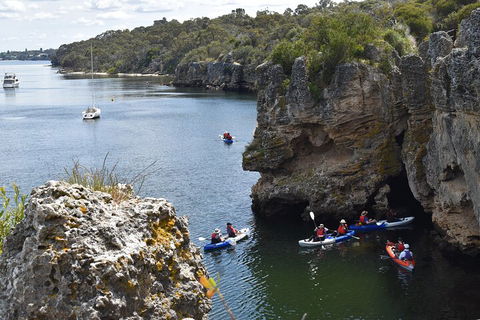 Cliffs And Caves Kayak Tour In Swan River - Kalgoorlie Accommodation 5