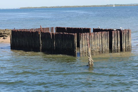 Best Of Moreton Bay Cruise - Kalgoorlie Accommodation 1