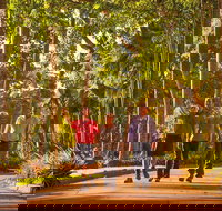 Darwin City Sights and Jumping Crocodile Cruise - Kalgoorlie Accommodation