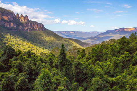 Blue Mountains Nature And Wildlife Day Tour From Sydney - Kalgoorlie Accommodation 1