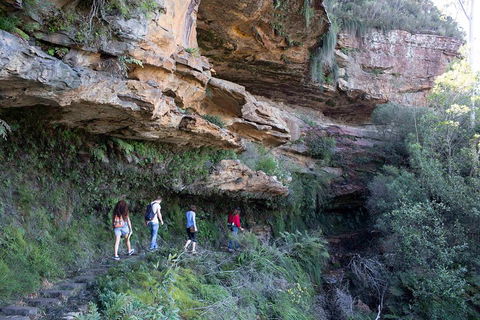Blue Mountains Nature And Wildlife Day Tour From Sydney - Kalgoorlie Accommodation 2