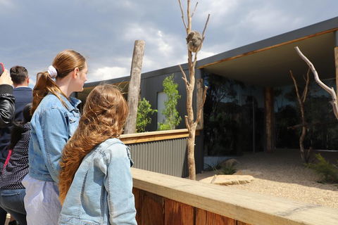Blue Mountains Nature And Wildlife Day Tour From Sydney - Kalgoorlie Accommodation 3
