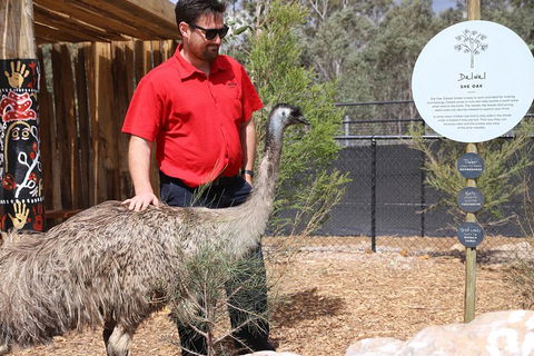 Blue Mountains Nature And Wildlife Day Tour From Sydney - Kalgoorlie Accommodation 5