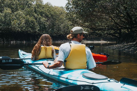 Kayak Tour In Adelaide Dolphin Sanctuary - Kalgoorlie Accommodation 2