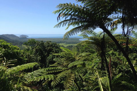 Daintree And Cape Tribulation Full Day Guided Tour - Kalgoorlie Accommodation 2
