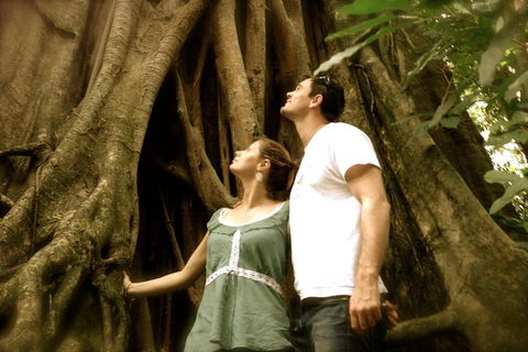 Daintree And Cape Tribulation Full Day Guided Tour - Kalgoorlie Accommodation 5