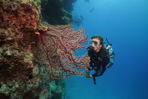 Silversonic Outer Great Barrier Reef Dive And Snorkel Cruise From Port Douglas - Kalgoorlie Accommodation 0