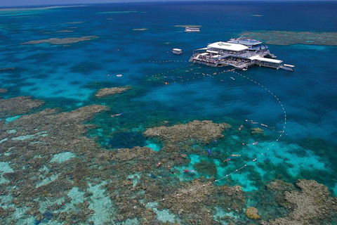 Ultimate 3-Day Great Barrier Reef Cruise Pass - Kalgoorlie Accommodation 3