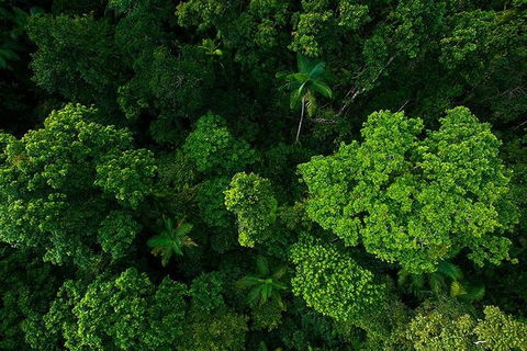 Cairns & Port Douglas All-Inclusive 7 Days Touring Package - Kalgoorlie Accommodation 4