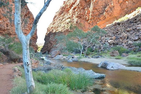 Alice Springs, Uluru Ayers Rock & Kings Canyon 8 Days Touring Package - Kalgoorlie Accommodation 2