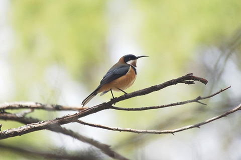 Private Blue Mountains Insider Tour From Sydney - Kalgoorlie Accommodation 2