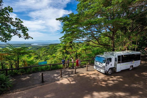 Daintree And Cape Tribulation Tour From Cairns - Kalgoorlie Accommodation 3
