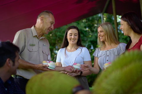 Daintree And Cape Tribulation Tour From Cairns - Kalgoorlie Accommodation 5