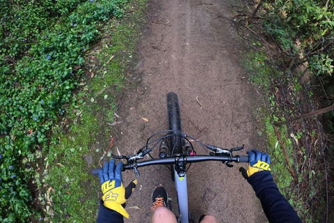 Explore Downhill Mountain In 3-Hour Bike Tour From Hobart - Kalgoorlie Accommodation 2