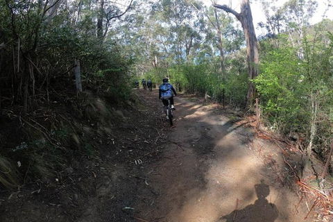 Explore Downhill Mountain In 3-Hour Bike Tour From Hobart - Kalgoorlie Accommodation 3