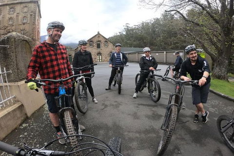 Explore Downhill Mountain In 3-Hour Bike Tour From Hobart - Kalgoorlie Accommodation 5