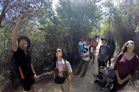 Active Day Tour One-Way From Launceston To Hobart Via Wineglass Bay - Kalgoorlie Accommodation 0