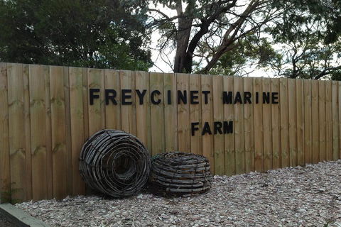 Active Day Tour One-Way From Launceston To Hobart Via Wineglass Bay - Kalgoorlie Accommodation 3