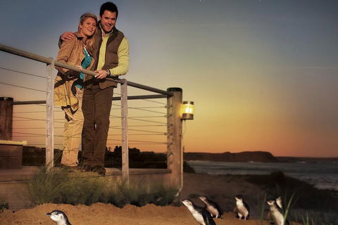 The Ultimate Melbourne Attractions Pass - Kalgoorlie Accommodation 3