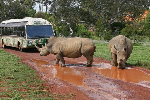 The Ultimate Melbourne Attractions Pass - Kalgoorlie Accommodation 4