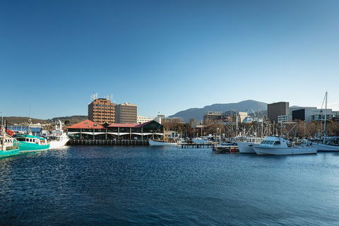 Hobart City Sightseeing Tour Including MONA Admission - Kalgoorlie Accommodation 0