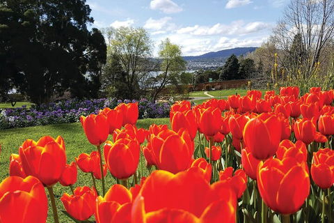 Hobart City Sightseeing Tour Including MONA Admission - Kalgoorlie Accommodation 4