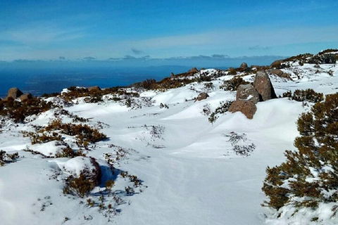 Mt Wellington Ultimate Experience Tour From Hobart - Kalgoorlie Accommodation 4