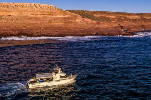 Kalbarri Sunset Coastal Cliff Cruise - Kalgoorlie Accommodation 4