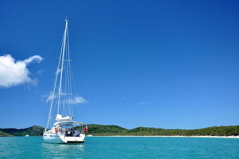 Sailing Curlew Escape On Moreton Bay - Kalgoorlie Accommodation 5