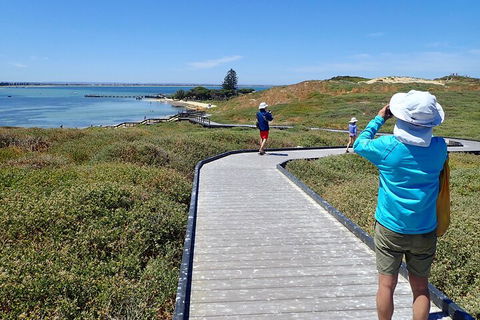 Penguin And Seal Islands Sea Kayaking Experience - Kalgoorlie Accommodation 1