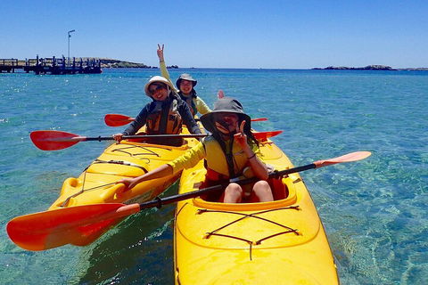 Penguin And Seal Islands Sea Kayaking Experience - Kalgoorlie Accommodation 4