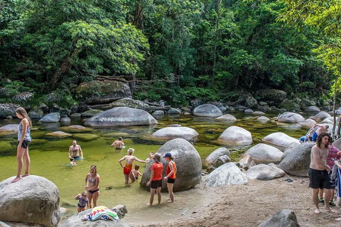 Cape Tribulation, Mossman Gorge, And Daintree Rainforest Day Trip From Cairns Or Port Douglas - Kalgoorlie Accommodation 1