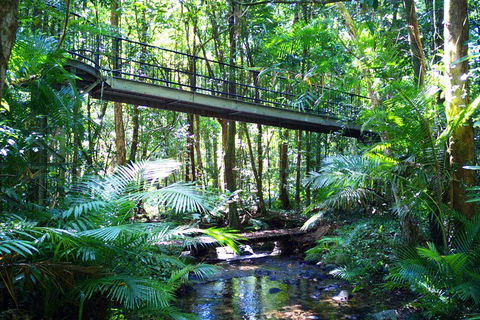Cape Tribulation, Mossman Gorge, And Daintree Rainforest Day Trip From Cairns Or Port Douglas - Kalgoorlie Accommodation 3