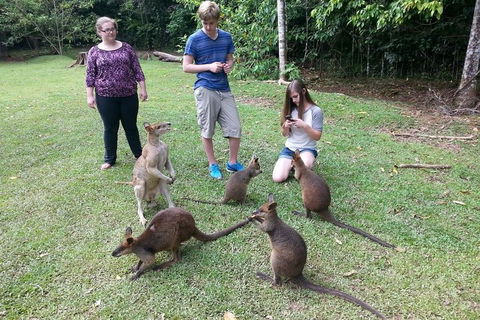 Small Group Blue Mountains Day Tour From Sydney - Kalgoorlie Accommodation 2