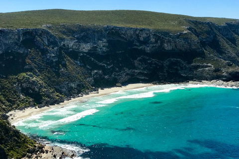 Kangaroo Island Scenic Trail Tour - Kalgoorlie Accommodation 4