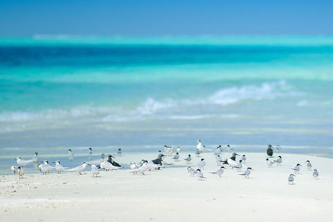 Private Coral Cay Bubbles Tour - Kalgoorlie Accommodation 2