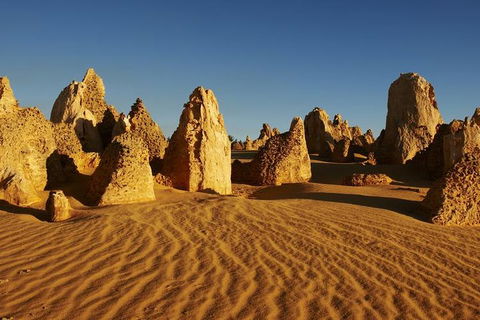 Full Day Pinnacle Desert Explorer From Perth Including Hillarys And Lancelin Sandboarding - Kalgoorlie Accommodation 3