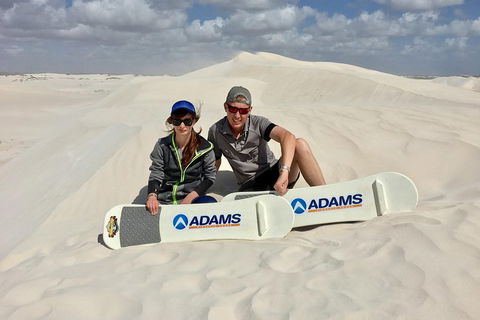 Full Day Pinnacle Desert Explorer From Perth Including Hillarys And Lancelin Sandboarding - Kalgoorlie Accommodation 4