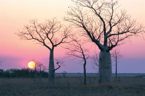 8-Day Outback Experience From Queensland - Kalgoorlie Accommodation 5