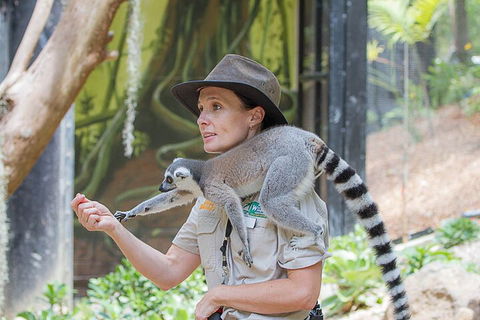 Currumbin Wildlife Sanctuary General Entry Ticket - Kalgoorlie Accommodation 1
