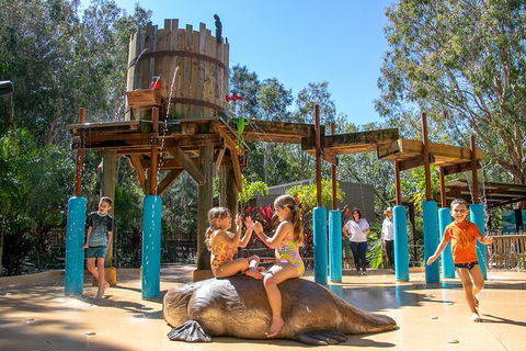 Currumbin Wildlife Sanctuary General Entry Ticket - Kalgoorlie Accommodation 5