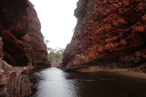 West MacDonnell Ranges Half - Day Tour - Kalgoorlie Accommodation 4