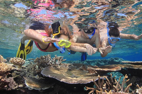 Calypso Outer Great Barrier Reef Cruise From Port Douglas - Kalgoorlie Accommodation 3