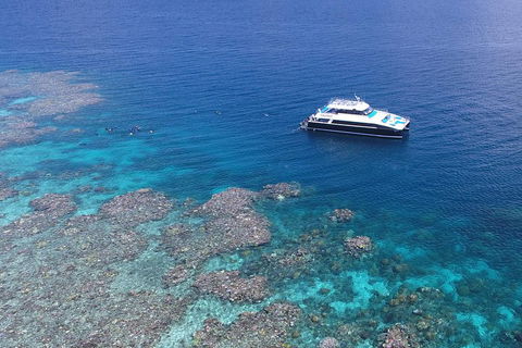 Calypso Outer Great Barrier Reef Cruise From Port Douglas - Kalgoorlie Accommodation 4
