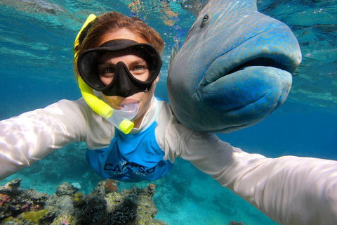 Calypso Outer Great Barrier Reef Cruise From Port Douglas - Kalgoorlie Accommodation 5
