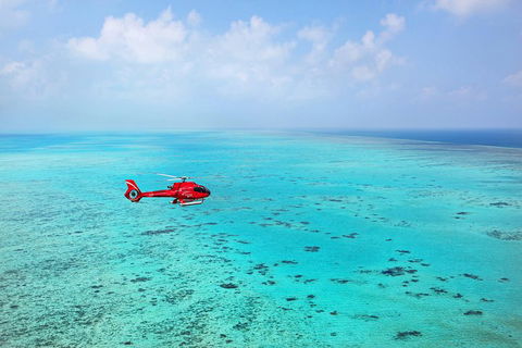 Helicopter And Cruise Packages From Port Douglas - Kalgoorlie Accommodation 1