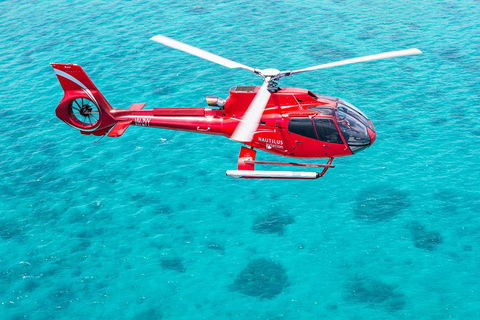 Helicopter And Cruise Packages From Port Douglas - Kalgoorlie Accommodation 5
