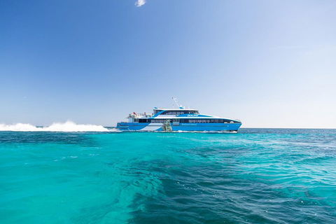 Fremantle To Rottnest Island Roundtrip Ferry Ticket - Kalgoorlie Accommodation 0